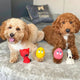 Pet 4-Set (2 OVO the Eggs, Red Cat and Dog) - Natural Rubber Toys