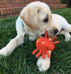 Red Spider - Natural Rubber Toys