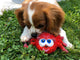 Red Spider and Golf Ball - Natural Rubber Toys